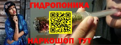 apvp Пушкино