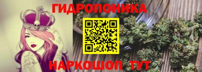 apvp Пушкино
