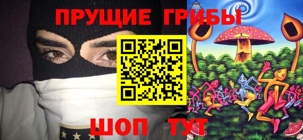 Псилоцибиновые грибы MAGIC MUSHROOMS Чебоксары